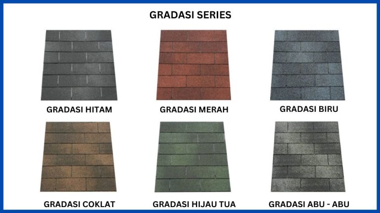 WhatsApp Image 2024-09-13 at 12.34